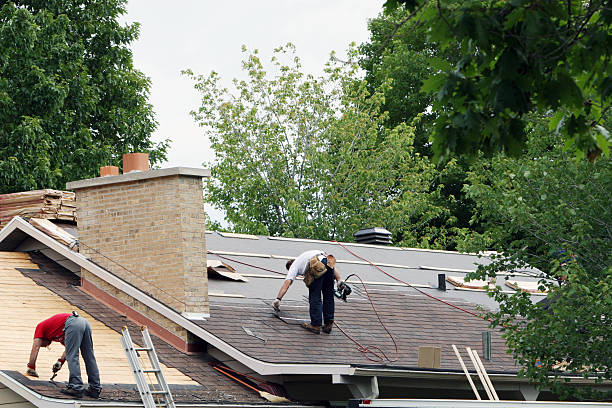 Best Flat Roof Repair Services  in Pecatonica, IL